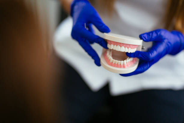 Professional Dental Services in Estill Springs, TN